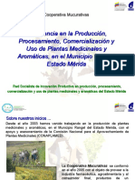 Presentacion Plantas Medicinales Merida Abril 2009 Definitiva