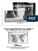 A Qui Appartiennent Ses Pattes