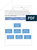 Mapa Conceptual Webly