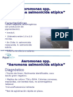 Aeromonas spp.: Características, diagnóstico y control