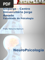 Aula 5. Neuropsicologia - Laudo Neuropsicológico