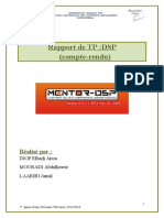 Rapport DSP MouradiDiopLaaribi