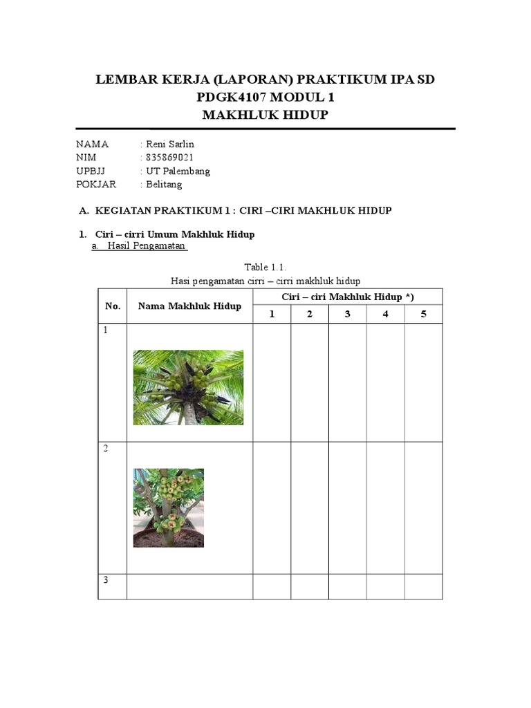 Laporan Praktikum Ipa Sd