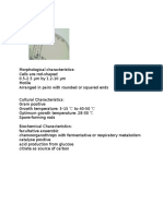 Bacillus Subtilis