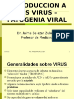 Introduccion A Los Virus