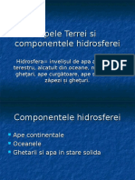 apele_terrei_si_componentele_hidrosferei.ppt