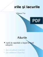 raurilesilacurile