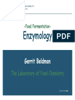 Food Fermentation With Enzymes