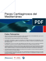 Peces - Cartilaginosos - Del - Mediterraneo Amenazas PDF