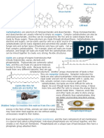 Biomolecules Reading Sample Function