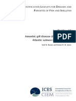 Sheet No. 60 PDF