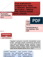 ppt ajir