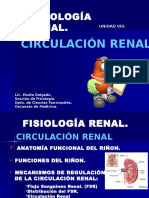 Circulación Renal