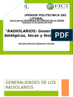 Radiolarios