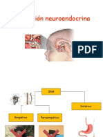 Estress y Regulacion Neuroendocrina