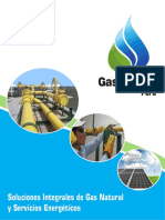 energy gas.pdf