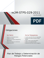 Nom STPS 029 2011