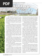 Cultivo Protejido