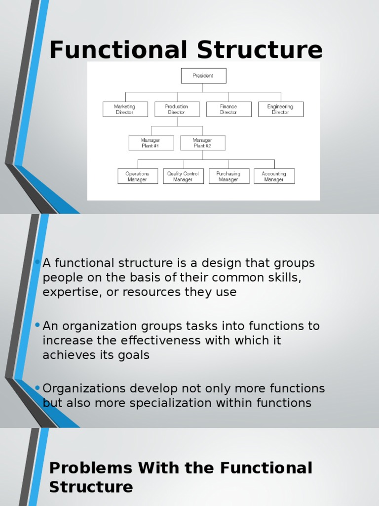 Functional Structure | PDF
