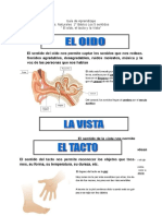 Guía de Aprendizaje Los 5 Sentidos