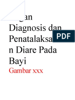 Bagan Diagnosis Dan Penatalaksanaan Diare Pada Bayi