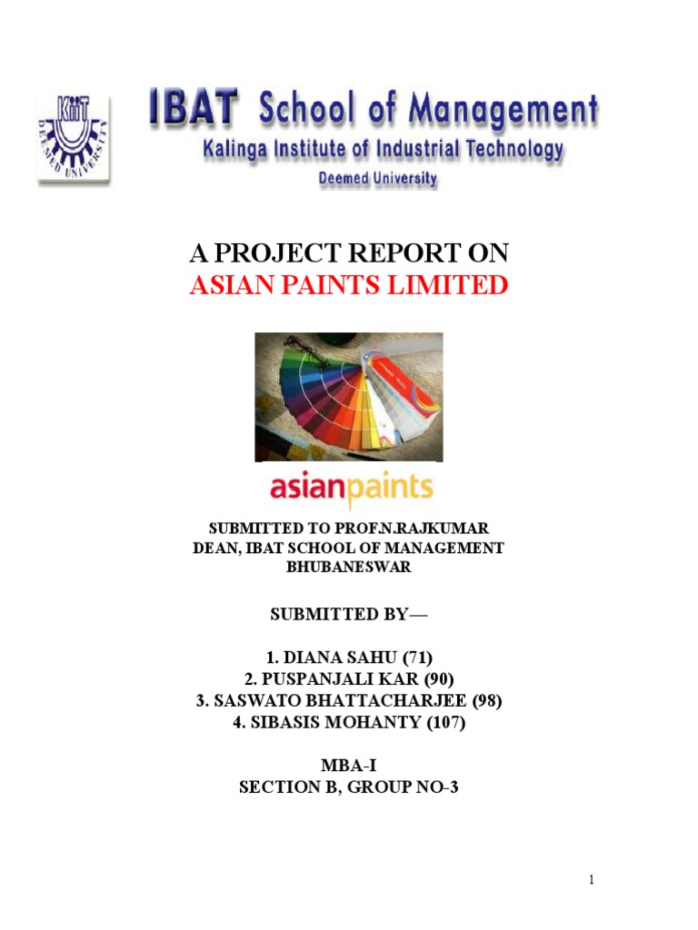Asian Paints Marketing Strategy Overview | PDF | Market Segmentation ...