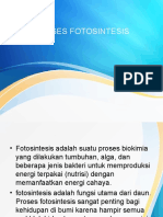 Proses Fotosintesis