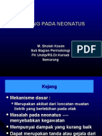 Kejang Pada Neonatus