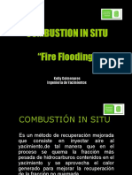 Combustion in Situ