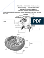 Exercciosdefixao Envoltrios 130521174355 Phpapp01