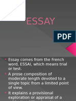 What is an Essay