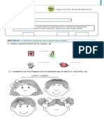 Evaluacion Ciencias Junio Organos de Ls Sentidos