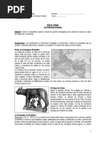 FOSSIER La Formación Del Mundo Medieval - Michel Rouche | PDF | imperio ...