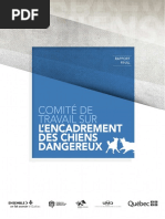 Rapport Final Du Groupe De Travail Sur Lencadrement Des