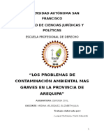 7820_CONTAMINACION_MAS_GRAVES_DE_AREQUIPA.docx