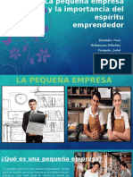 Importancia PE pequeña empresa