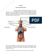 Anatomia Practica 1