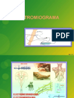 Clase 3 Electromiograma