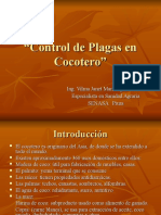 Control de Plagas en Cocotero