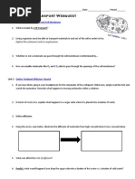 Cell Transport Webquest 2014