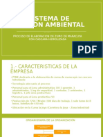 Sistema de Gestion Ambiental