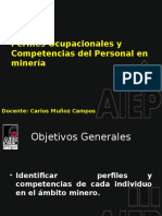 Perfiles y Competencias de Trabajadores en Mineria