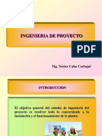 Ingenieria de Proyecto.pdf