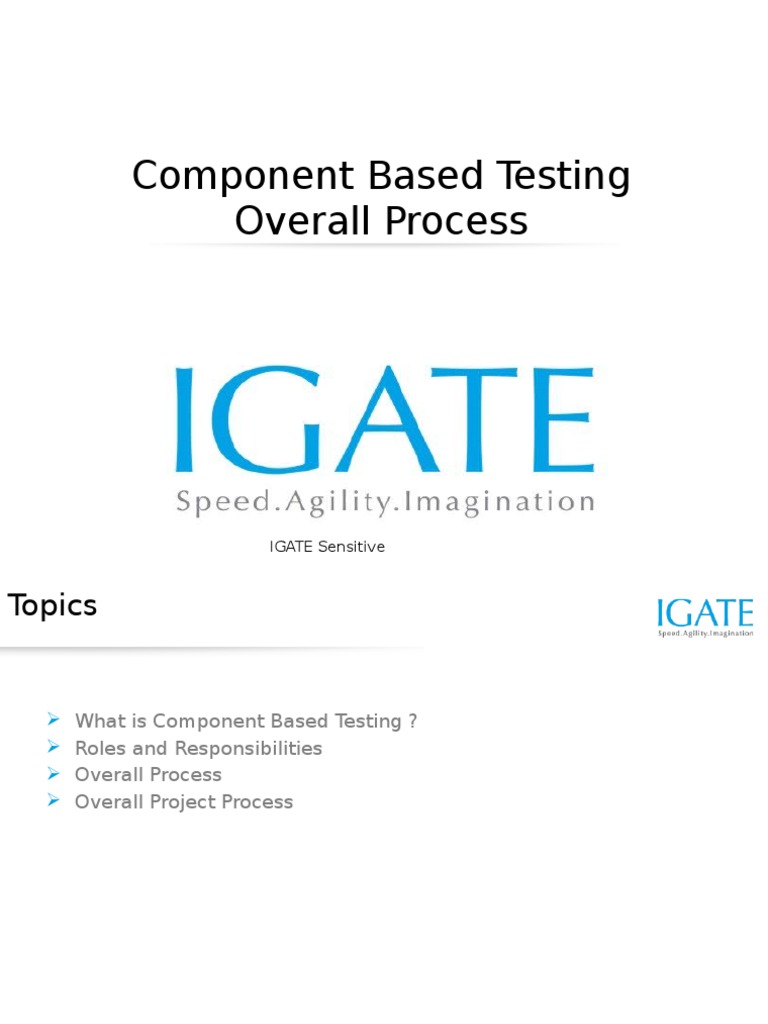 Component Based Testing Overall Process PDF Automation Software