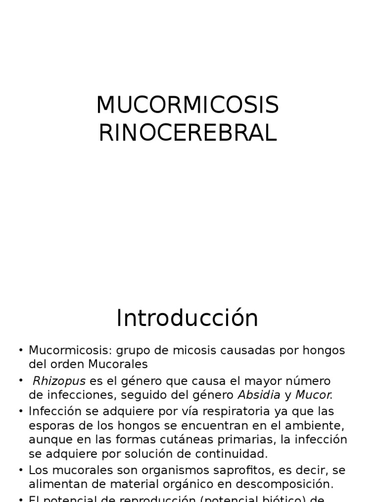 Mucormicosis Rinocerebral | PDF | Diabetes mellitus | Hongo
