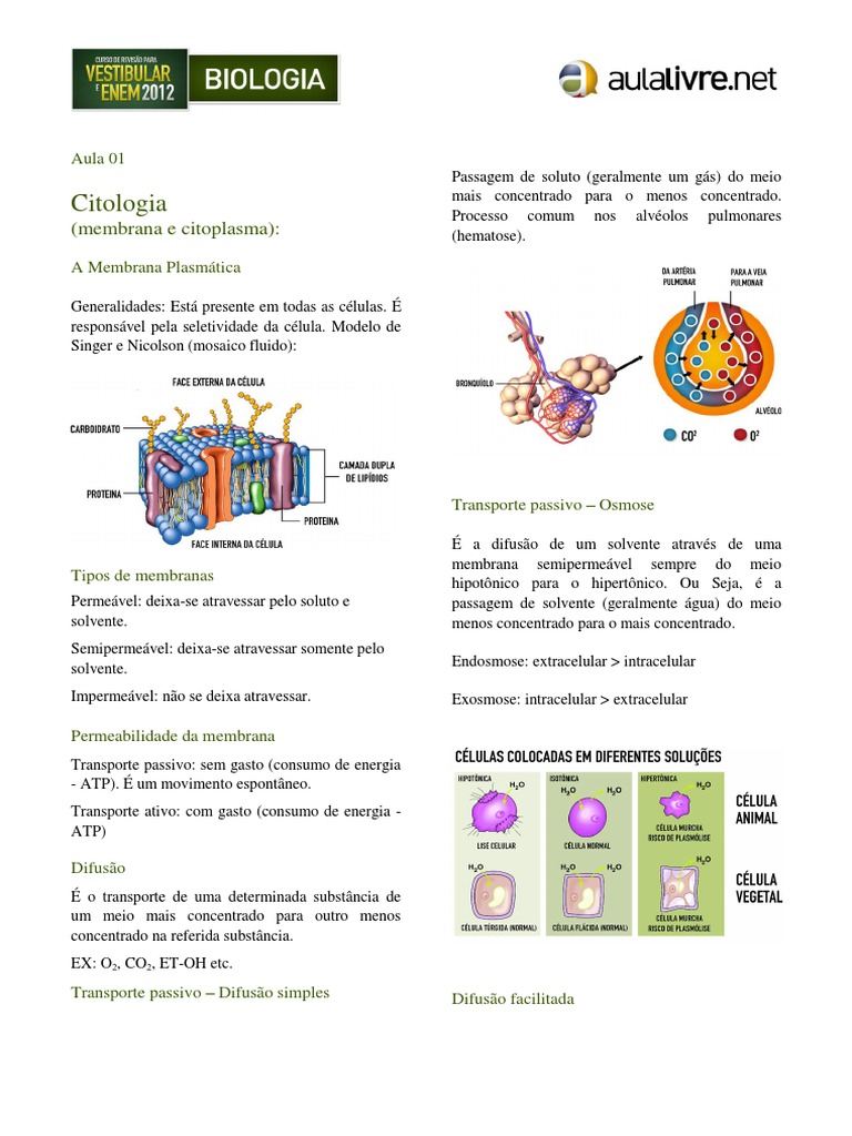 Resumo de Citologia para o Enem | PDF