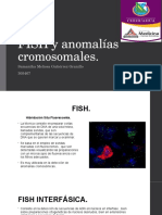 FISH y Anomali - As Cromosomales
