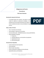 Obligaciones Del Puesto Consultor Team Lider