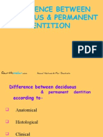 Difference Between Primary Permanent Dentition Pedo