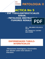 Patología II - Tubulo Intersticiales Tumor Renal